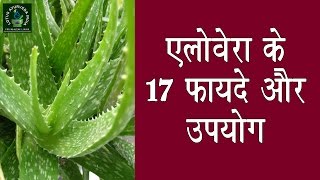 एलोवेरा के फायदे और उपयोग || Benefits and uses of Aloe Vera