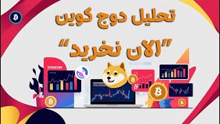 تحلیل دوج کوین - ارز جنجالی بازارهای کریپتو - DOGCOIN