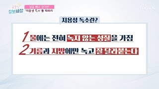 매번 좌절하는 다이어트! 요요현상의 주범? [굿모닝 정보세상] 64회 20190903