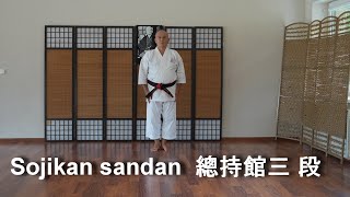 Sojikan sandan