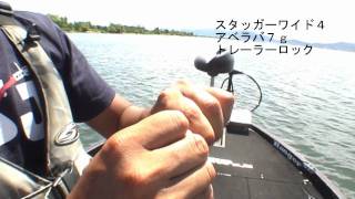 2011.8.4.琵琶湖で絶好調のスタッガーワイド４＆アベラバ７ｇ昼から出撃!!