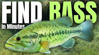 Find The BEST SPOT On Any Lake In MINUTES
