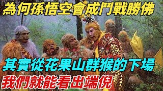 為何孫悟空最後會成為鬥戰勝佛？其實從花果山群猴的下場，我們就能看出端倪【縱觀千秋】#西遊記#孫悟空#如來佛祖#鎮元子#歷史#歷史故事#歷史人物#歷史風雲天下