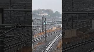 上野東京ラインに追い越される新幹線