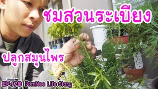 พาชมทำสวนบนระเบียง บ้านญี่ปุ่น My balcony garden EP. 170