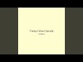 Tranquil Glow Cascade
