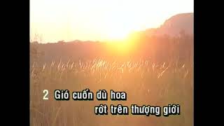 Dù Hoa Lạc Lối | Hùng Cường Official