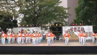 泉州ソーリャ踊り子隊　～よさこい東海道2010・本祭(中央公園演舞場)