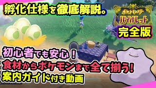 【ポケモンSV】必見！ピクニックとタマゴ孵化の仕様解説、メタモン入手方法や食材調達の案内付き動画