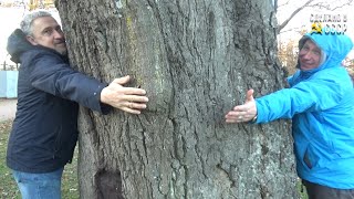 Царской ОСЕНЬЮ в Царском СЕЛЕ | г. ПУШКИН | С друзьями в МУЗЕЕ-заповеднике