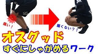 vol.1176 痛くてしゃがめないオスグッドにはこのワーク！一瞬でしゃがめるように…！？