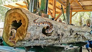 The discovery of an old teak log full of surprises yields millions of dollars