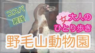 【大人のひとり歩き】コスパ最強！入園無料の野毛山動物園  Discover the animals at Nogeyama Zoo, Yokohama