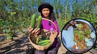 แตงกวาในสวนได้เก็บกินอีกแล้วครับพี่น้อง💚🥒🥒มากินตำแตงกับชายเอ็มเด้อครับพี่น้อง😆😆🥒🥒🥒