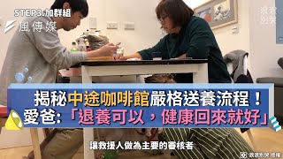 揭秘中途咖啡館嚴格送養流程！愛爸：「退養可以，健康回來就好」