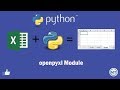 How to insert and delete the worksheets in excel by using Python openpyxl Module