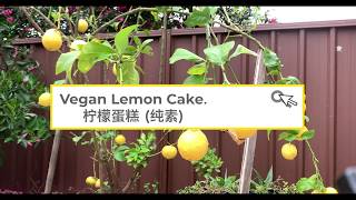 Vegan Lemon Cake 檸檬蛋糕 - Fragrant, moist and sweet!