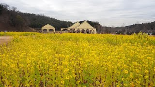 東京ドイツ村！春を待つ園内を紹介！冬だって楽しい！千葉県・袖ケ浦市