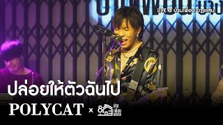 Polycat - ปล่อยให้ตัวฉันไป | Live Concert บ้านเพื่อน บางแสน เล่นสด