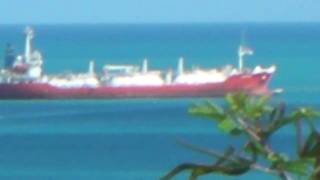 Antigua - Lizard In Tree, Island Rock Condos, Oil Tanker Offloading At Offshore Facility