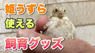 姫うずら　使える飼育グッズを紹介 23