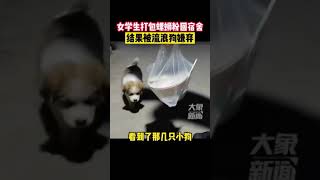 9月18日山西大同，女学生打包螺丝粉回宿舍，被流浪狗嫌弃