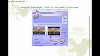 Best burn software-How to burn AVI to a DVD-R