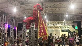 新加坡騰義體育會 Singapore Teng Ghee Twin Lion High Pole Performance on the 20/5/23