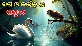 New Story ବଗ ଓ ପେଚା ର ବନ୍ଧୁତା _ odia new story #new #cartoon #trending #viralvideo #odia #story //