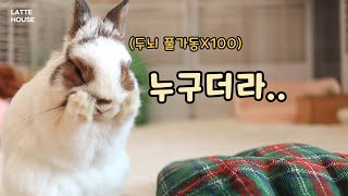 6개월만에 엄마를 본 토끼 반응 ㅋㅋㅋ