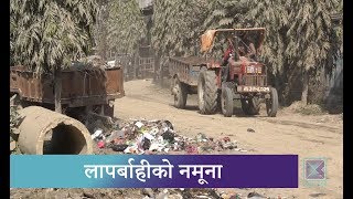 Kantipur Samachar | अव्यवस्थित र फोहोरी नगरका रुपमा चिनिँदै कलैया