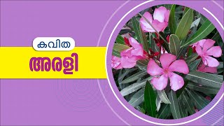 അരളി || Arali || Oleander || Arali Plant  || അരളി ചെടി