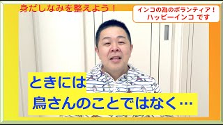 ときには身だしなみを整えよう！はがひでき＆ふわふわインコ