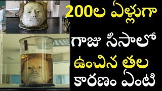 200ల ఏళ్లుగా ఉంచిన తల వెనుక దారుణమైన నిజాలు /Well preserved Diago Alves Head/Unknown Facts in telugu