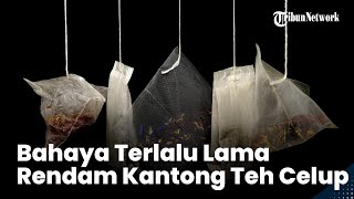 Bahaya Terlalu Lama Rendam Kantong Teh Celup