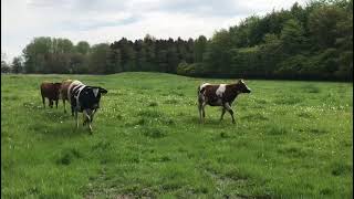 Warmonderhof - biologisch-dynamische landbouw