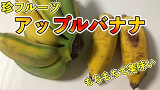 超レアフルーツ！アップルバナナのご紹介！