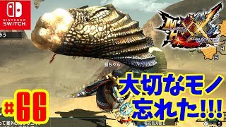 【MHXX SwitchVer】#66MHXX RecordLog 村☆８ハプルボッカ