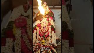 சுயம்பு வாராகி அம்மன் திருகாட்சி கம்மம்பட்டி #kammampatti #mecheri #god #suyambu