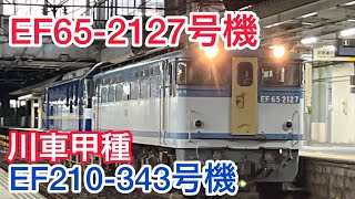 JR貨物EF65-2127号機EF210-343号機川車甲種