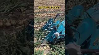 ડુંગળી ઉપાડવા નો મશીન || tachnology #machine  #જુગાડ #jugad #farming #gajjanandvlogs