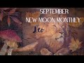 Leo | Healing Bonds & Self Respect | September New Moon Monthly Reading