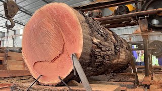 Amazing Woodworking Factory You must see | Extreme Wood Cutting Sawmill Machines Working