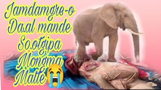 Jamdamgre aro Napakgreo da.al mande dokgipa mongma matte,,/ Tengsim Vlogs Tv,,