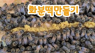 화분떡 만들기