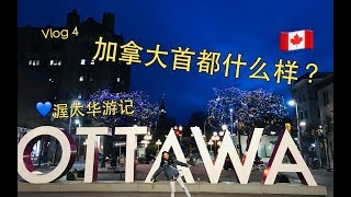 Vlog 4 Exploring Ottawa with me 和我逛逛加拿大首都! | Tulip festival 郁金香花节 | 国会山 | 国立美术馆