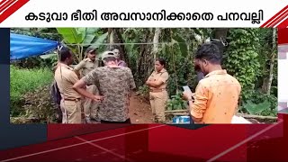 കടുവാഭീതി അവസാനിക്കുന്നില്ല; ഭീതിയിൽ പനവല്ലി ​ഗ്രാമം | Wayanad | Tiger | Wild Animal Attack