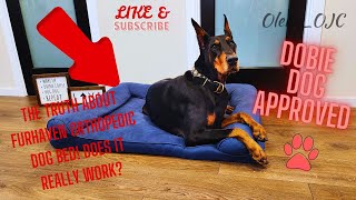 The truth about FURHAVEN Orthopedic Dog Bed! Does it really work? #doberman #lovemydog #amazonfinds