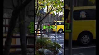 칠곡중앙한신아파트 김천중기형 경광등 모음 (fact:큐라이트 대경전자)