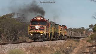 Australian Classic \u0026 Modern locomotives (EMD's, Alco's \u0026 GE's) - Grain Trains of South Australia